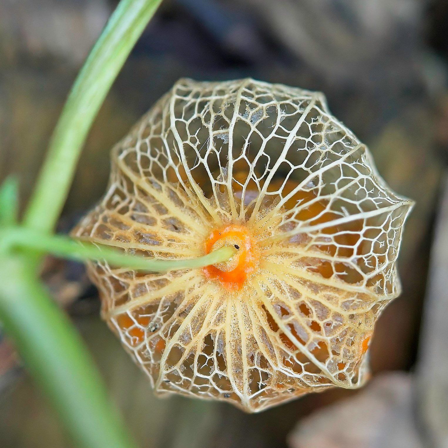 2023 10 10 Beleeftuin 02