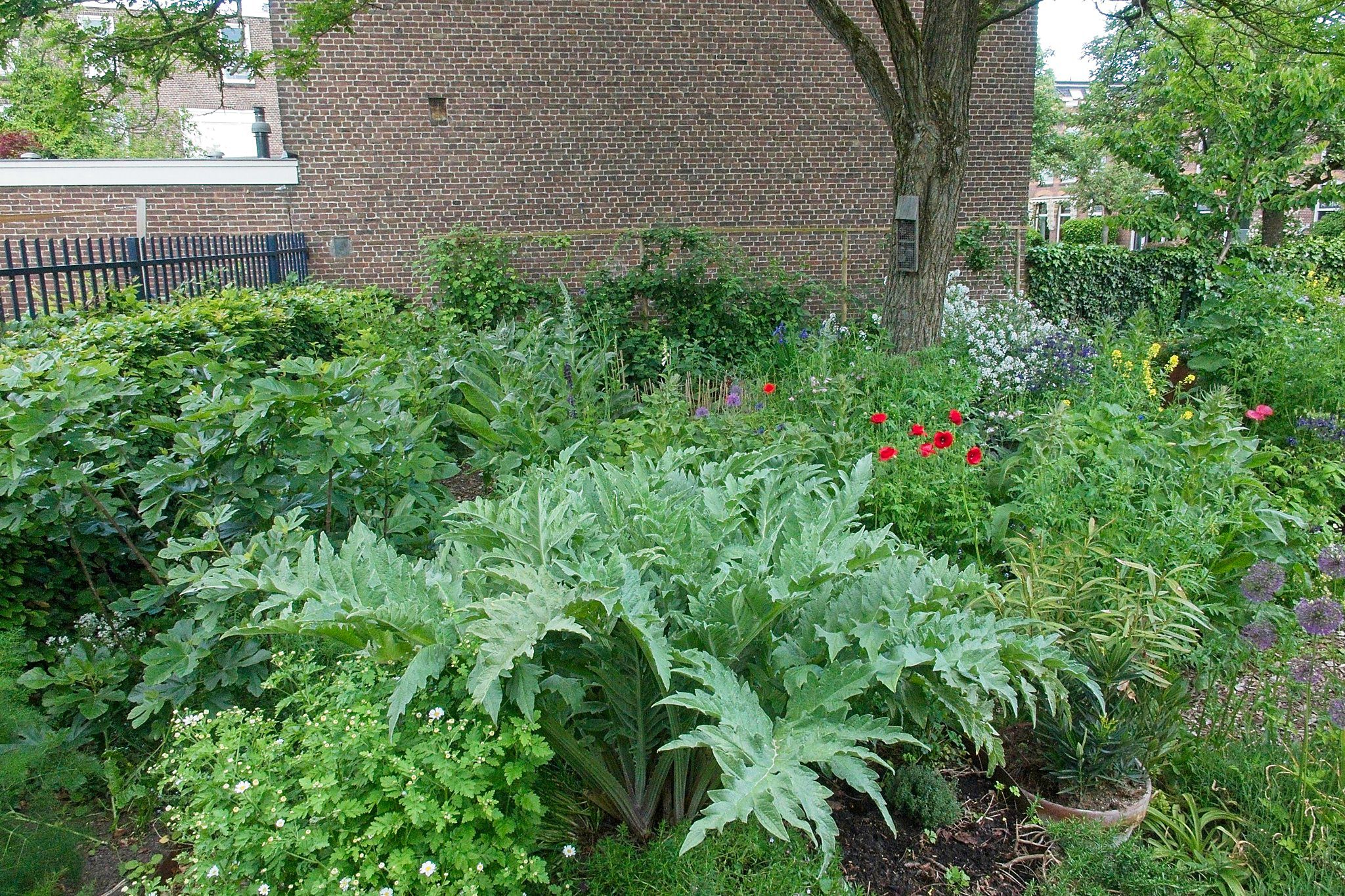 2023 05 31 Beleeftuin