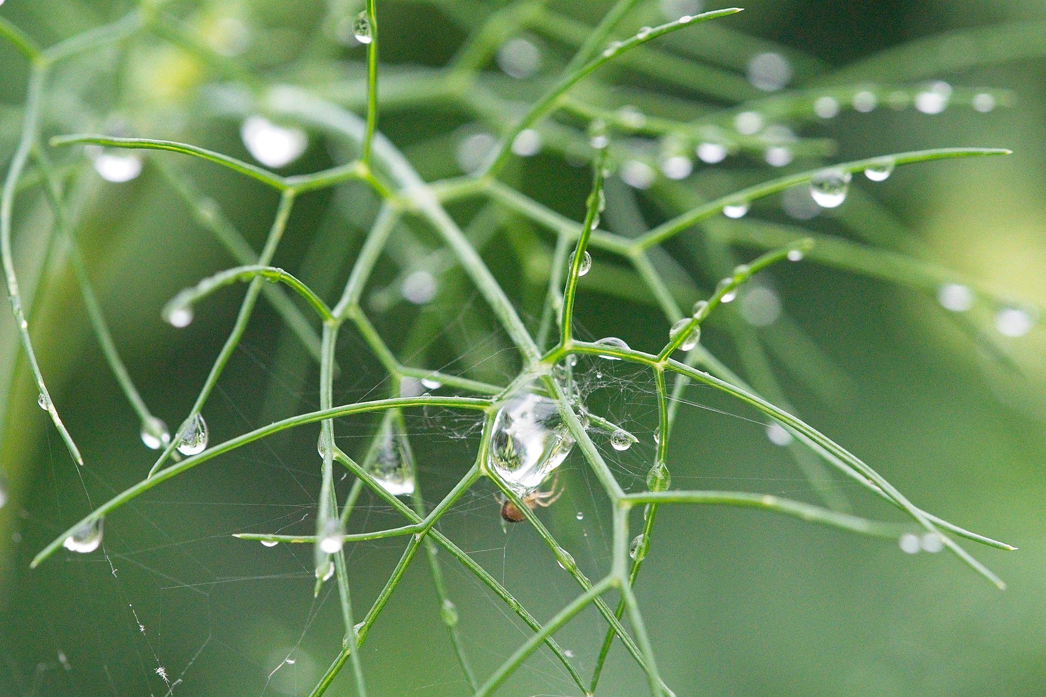 2023 07 01 Beleeftuin